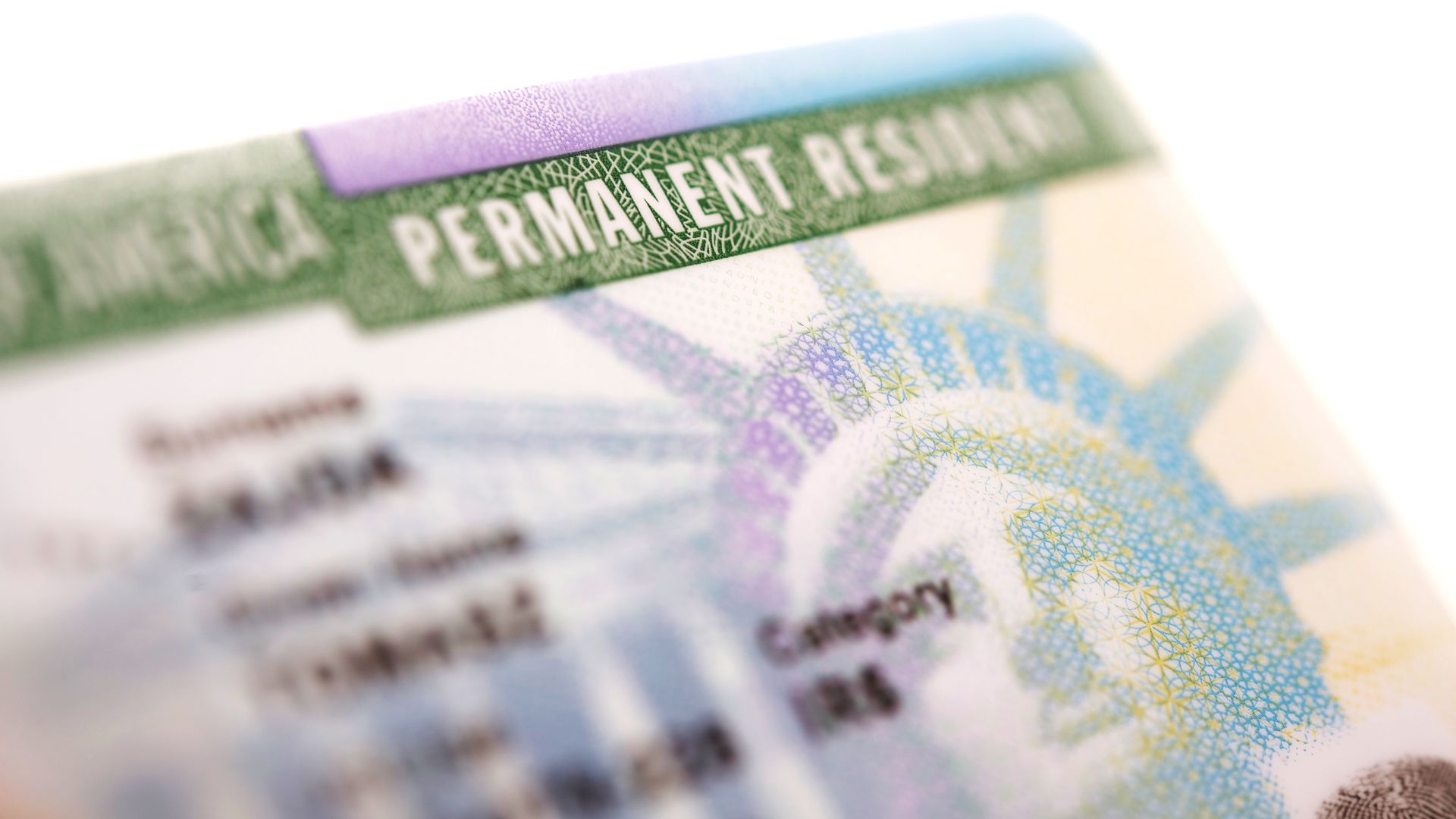 Who qualifies for Green Card in the United States? (Updated 2024)